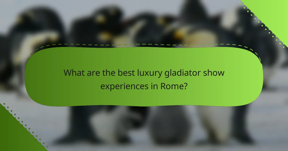 What are the best luxury gladiator show experiences in Rome?